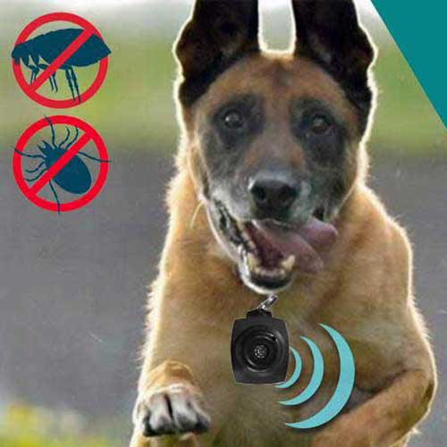 ogrlica protiv krpelja i buha za mačke i pse